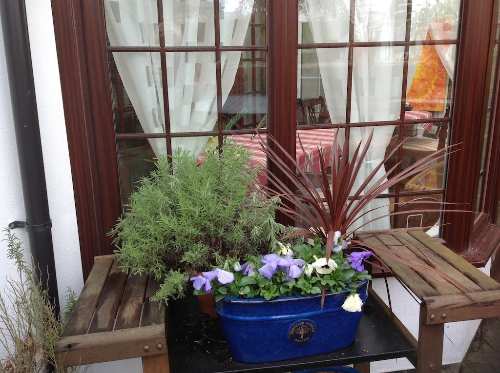 The Laurels Bed And Breakfast Кардиф Екстериор снимка